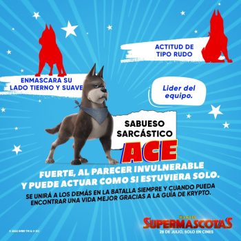 DC Liga