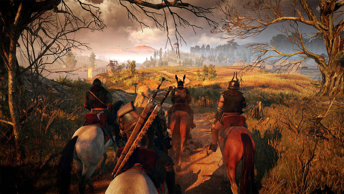 The Witcher