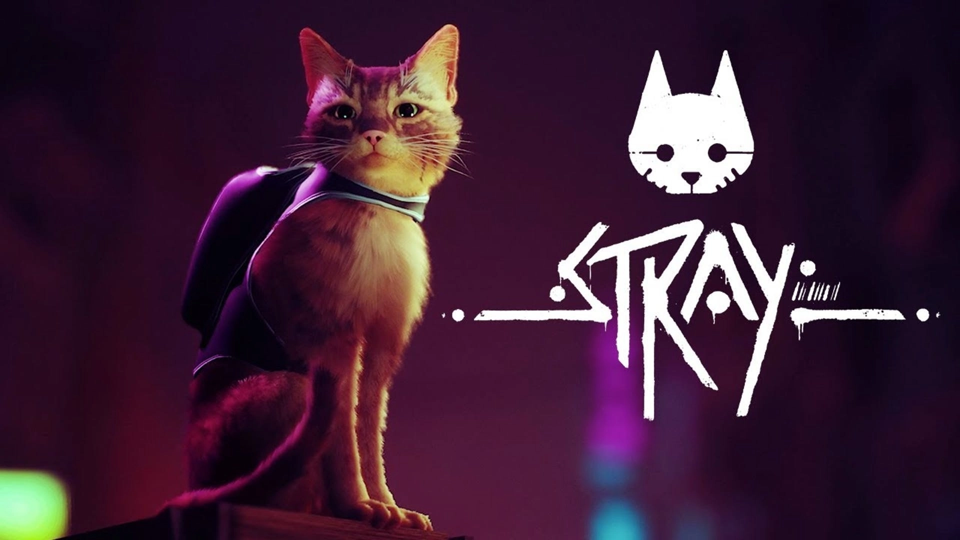 Stray W Arata