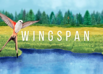 Wingspan