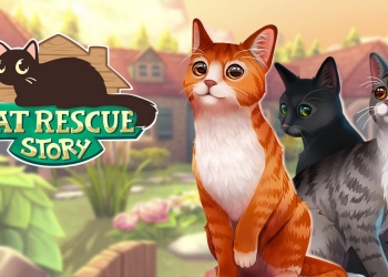 Cat Rescue Story