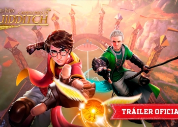 Harry Potter: Campeones de Quidditch