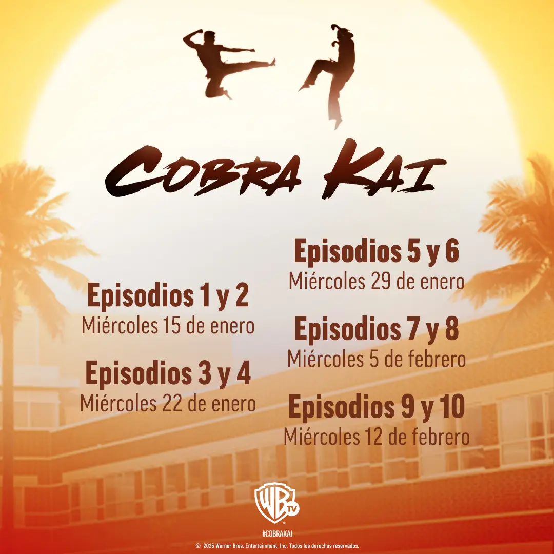 cobra kai warner