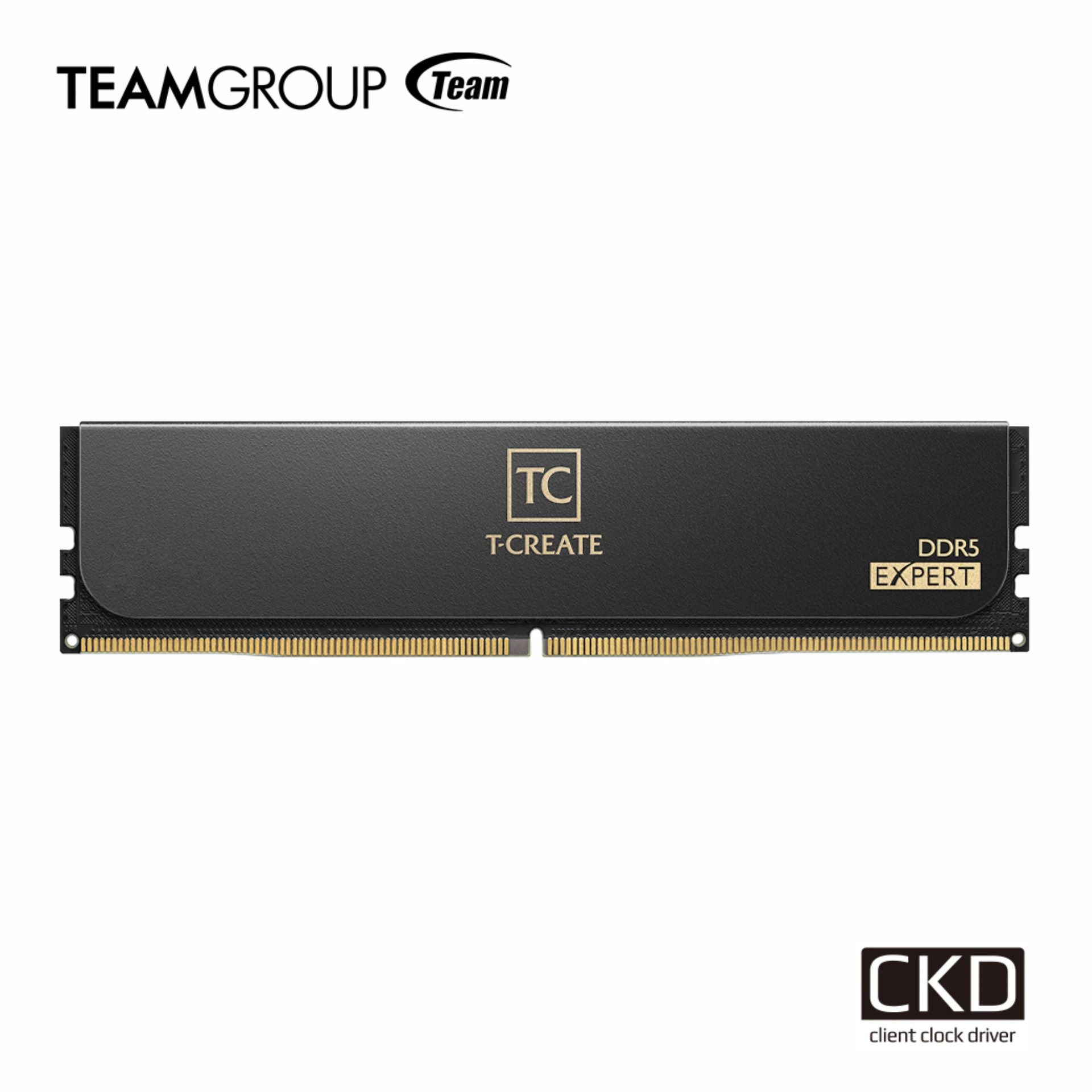 TEAMGROUP