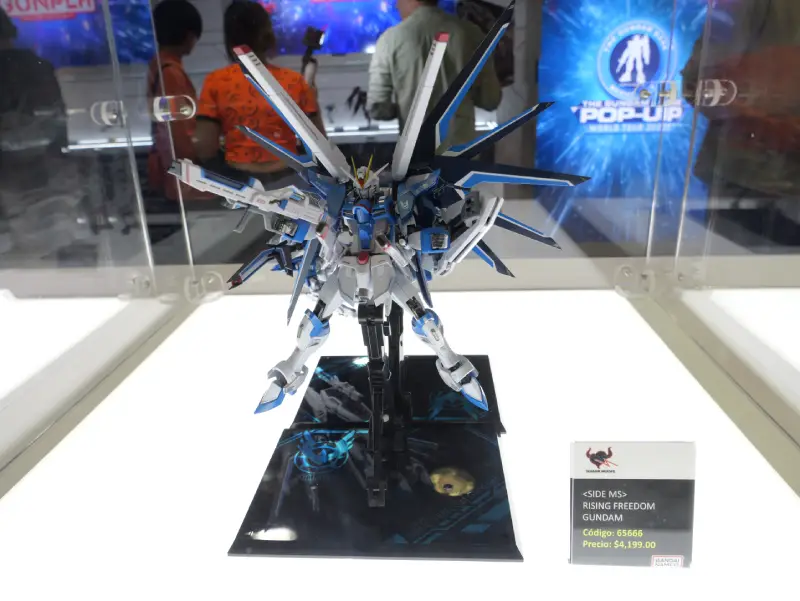 G Base - 2025 _ foto 01