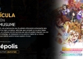 Umamusume Review
