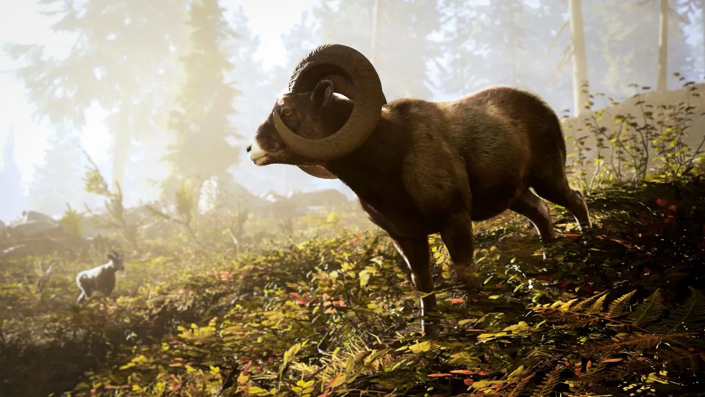 Hunting Simulator 3 3