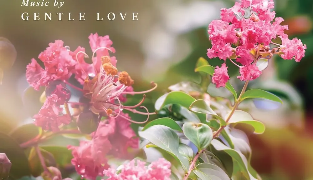 Norihiko Hibino Gentle Love