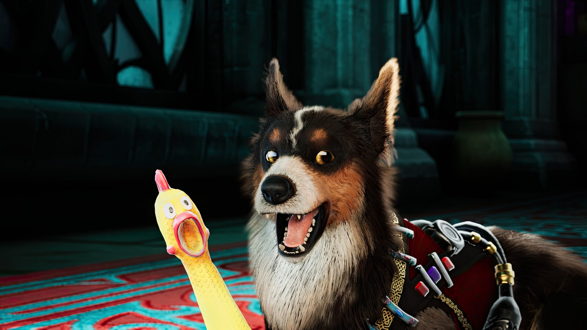 BARKOUR