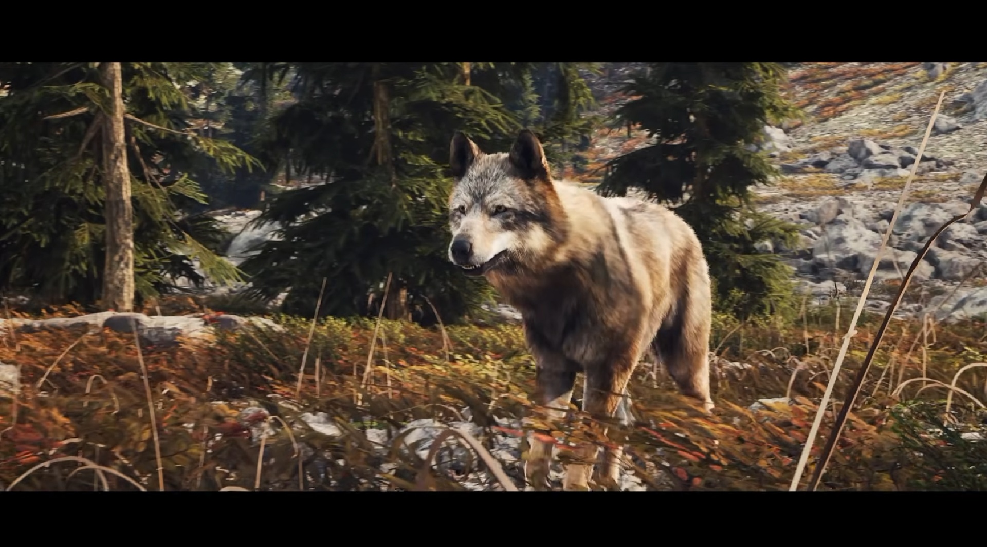 HUNTING_SIMULATOR_3