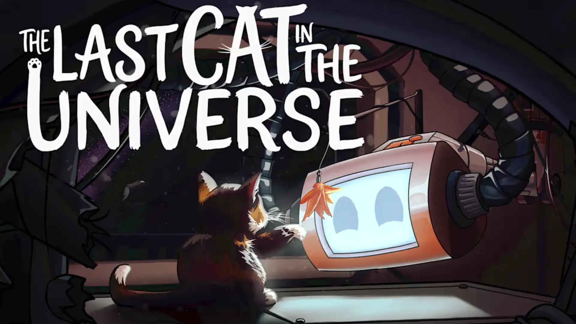 The Last Cat in the Universe
