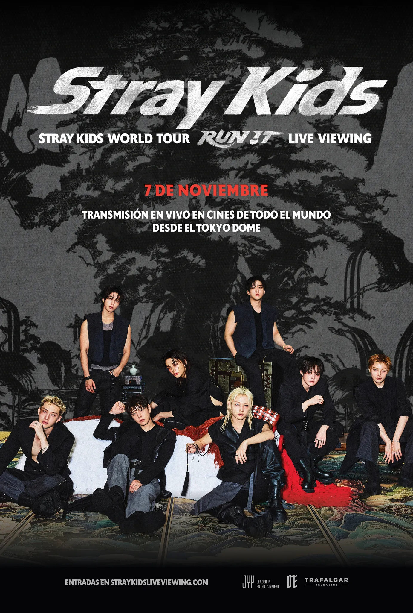 Stray Kids World Tour POSTER